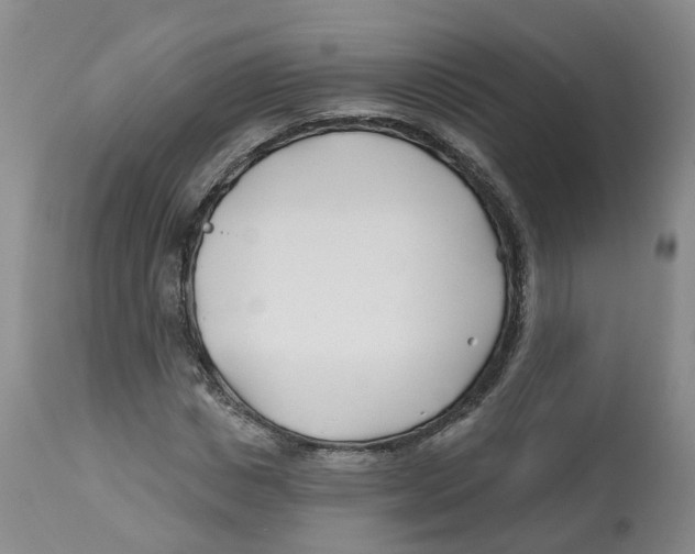 X0000112540825200909141310