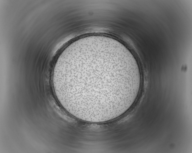 X0000112540827200909141310
