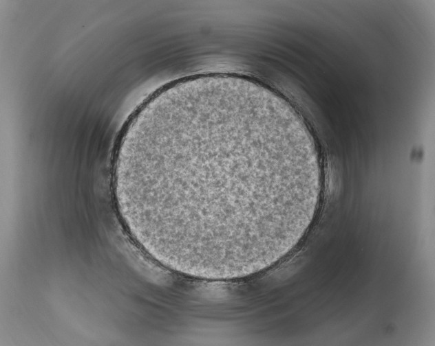 X0000112540828200909141310