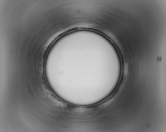 X0000112540829200909141310