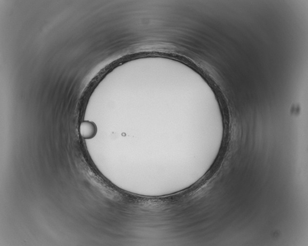 X0000112540830200909141310