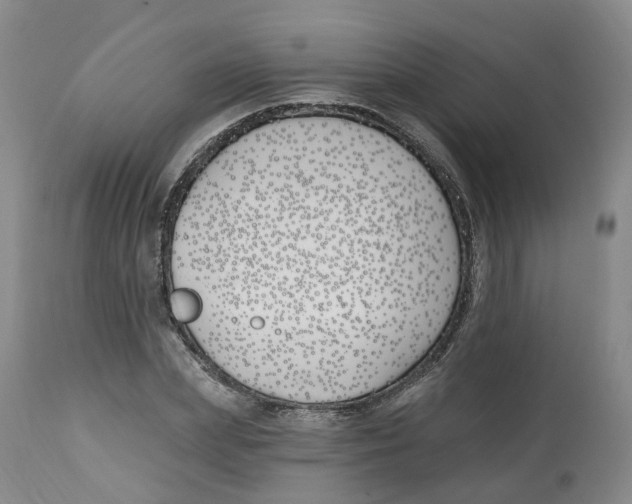 X0000112540831200909141310