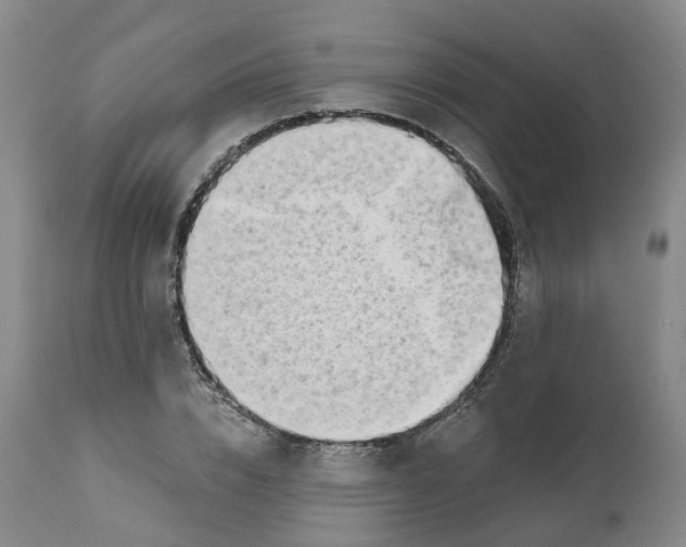 X0000112540832200909141310