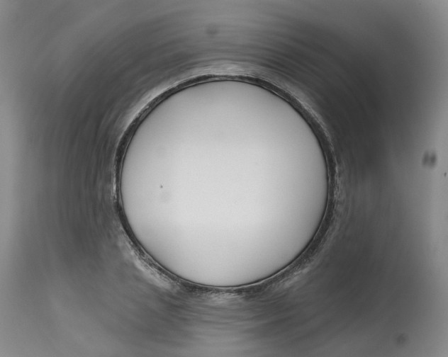 X0000112540837200909141310