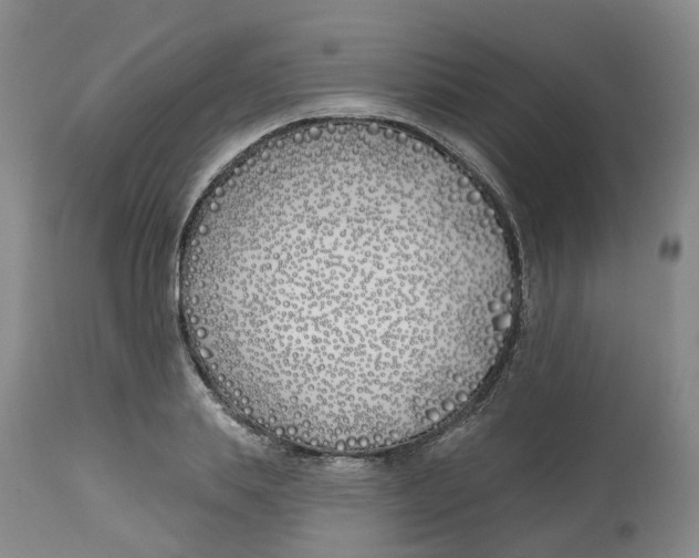 X0000112540839200909141310