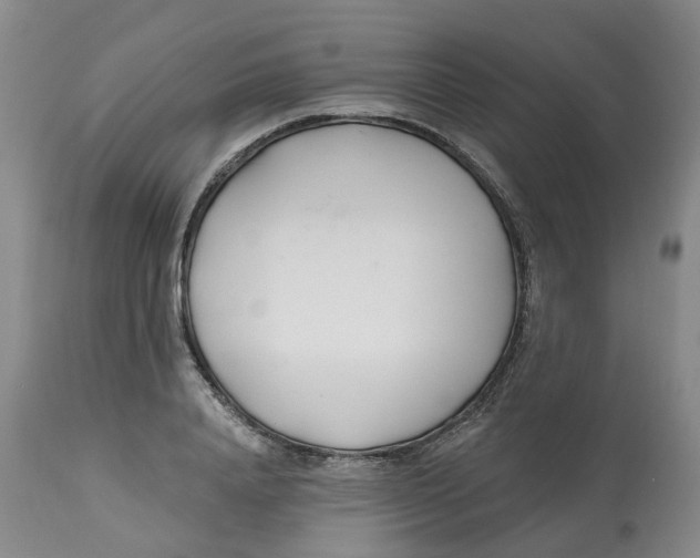 X0000112540840200909141310