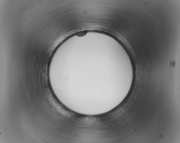 X0000112540842200909141310