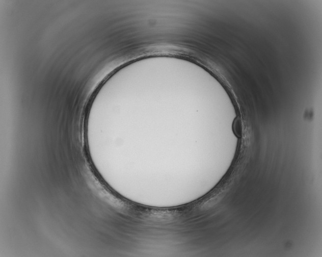 X0000112540843200909141310