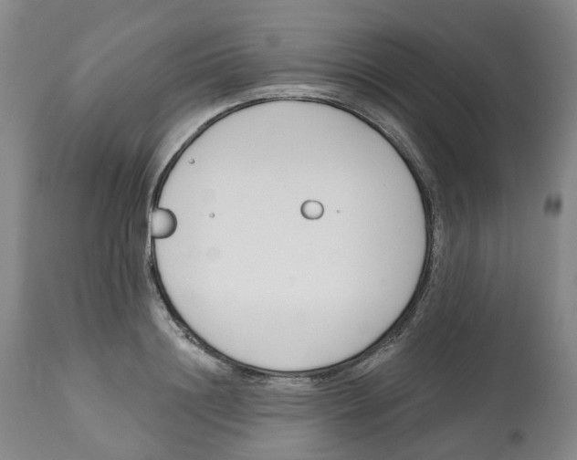 X0000112540844200909141310