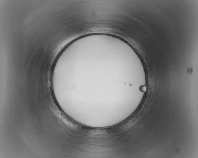 X0000112540846200909141310