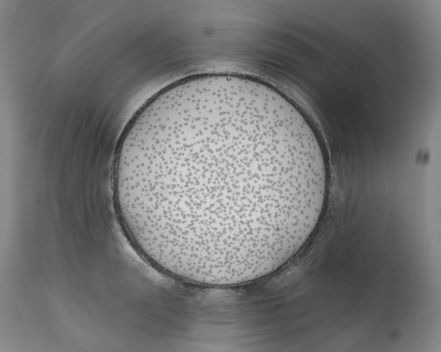 X0000112540847200909141310