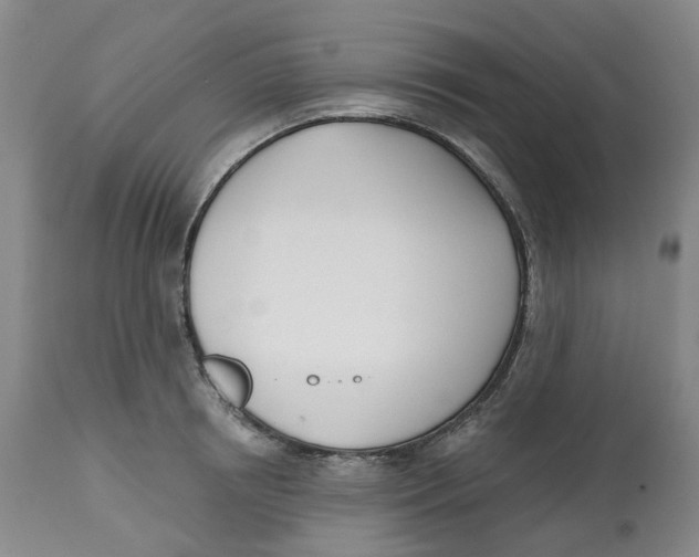X0000112540850200909141310