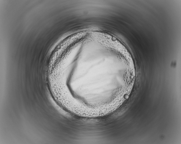 X0000112540851200909141310
