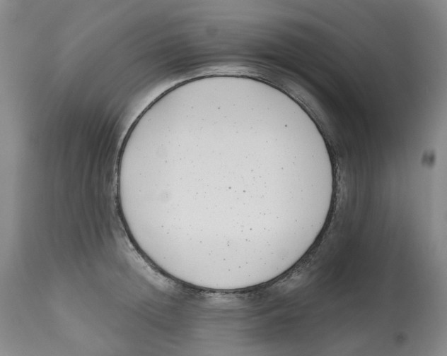 X0000112540852200909141310