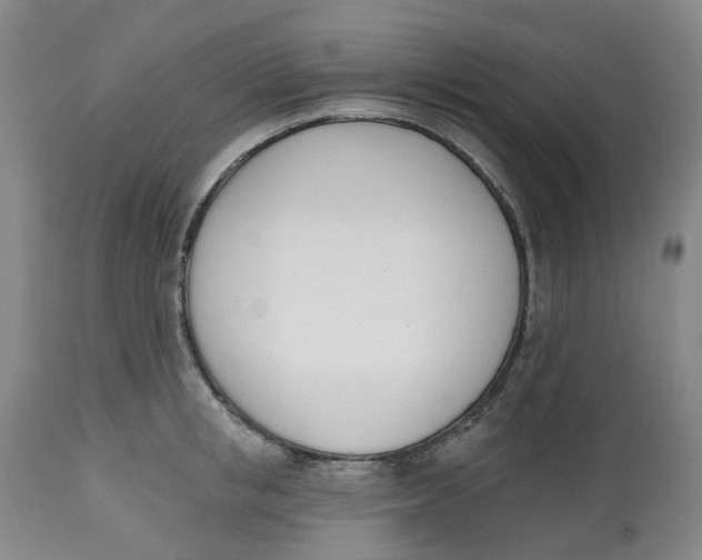 X0000112540853200909141310