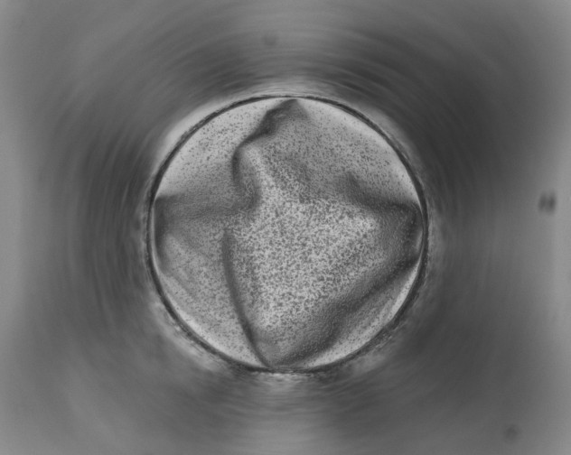 X0000112540854200909141310