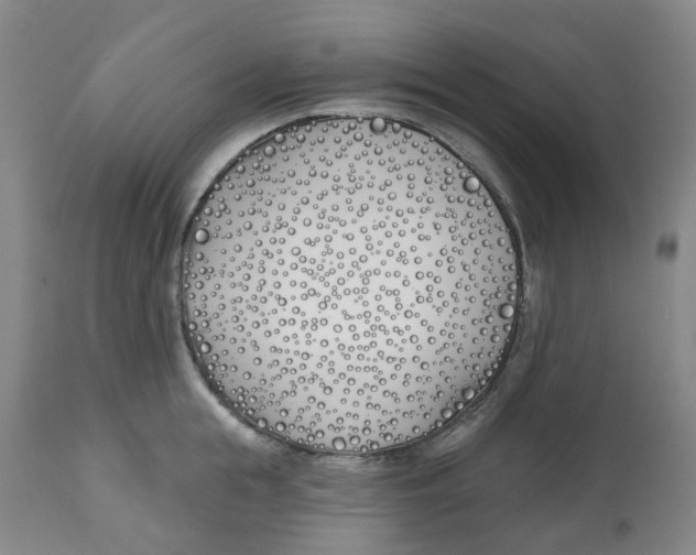 X0000112540855200909141310