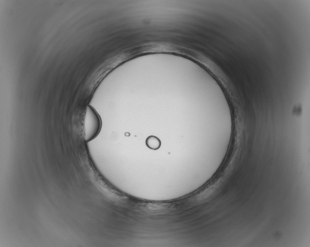 X0000112540857200909141310