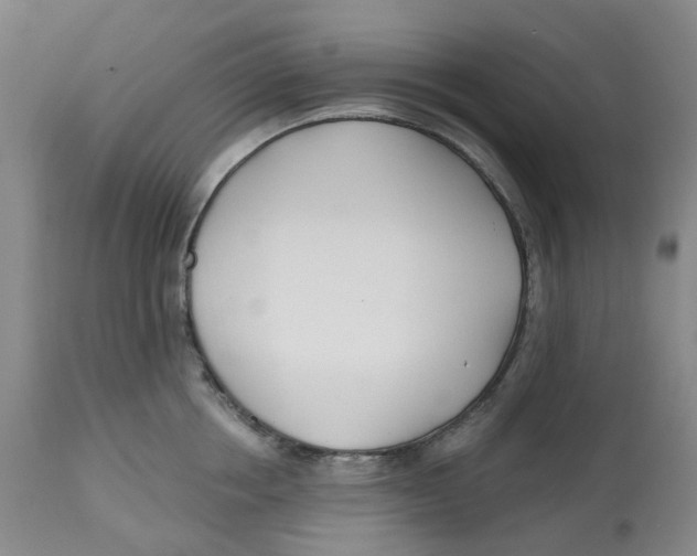 X0000112540858200909141310
