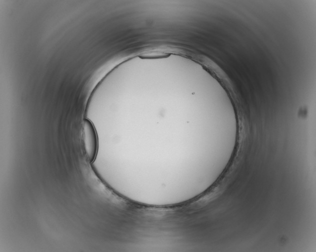 X0000112540860200909141310
