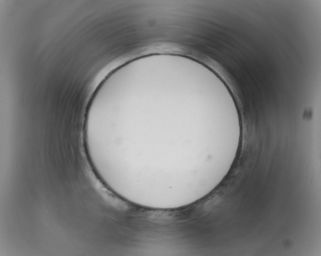 X0000112540861200909141310