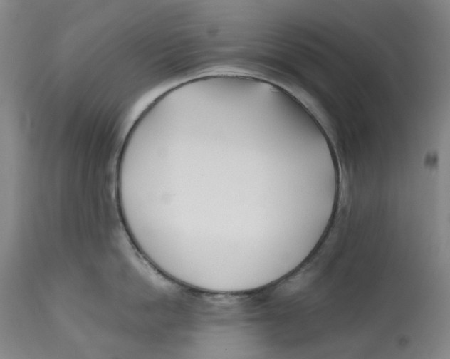X0000112540862200909141310