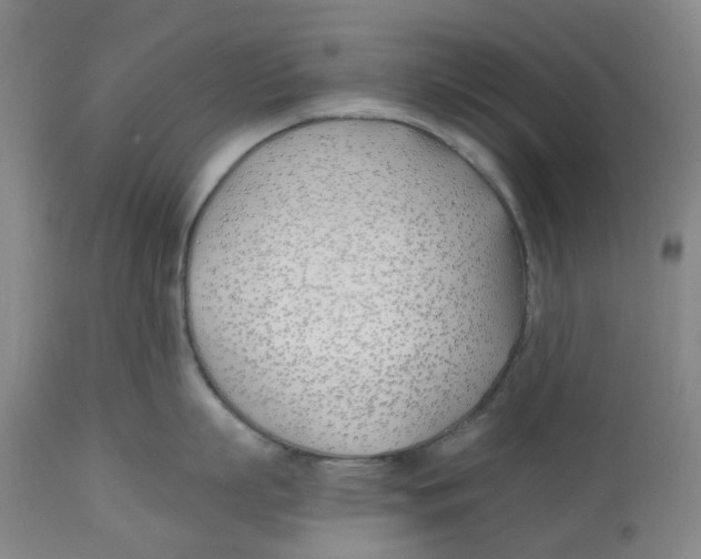 X0000112540863200909141310
