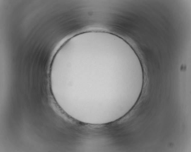 X0000112540864200909141310