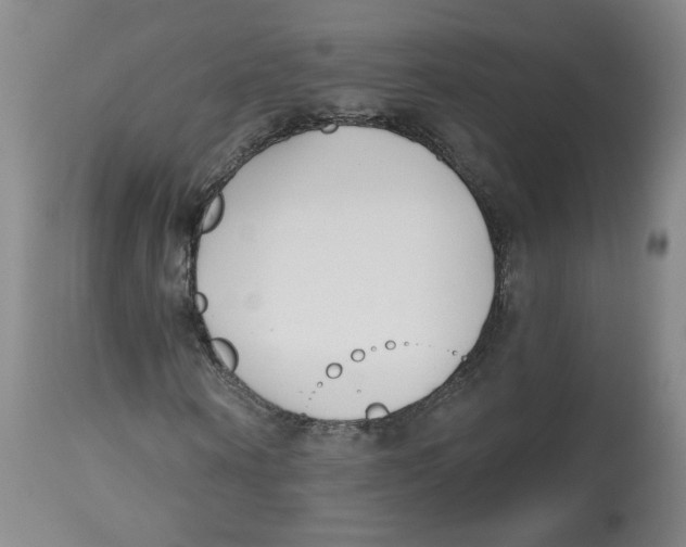 X0000112540866200909141310