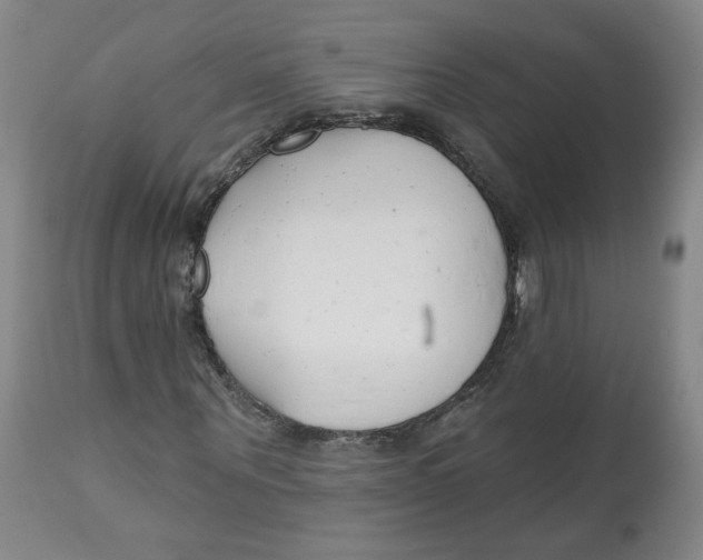 X0000112540867200909141310