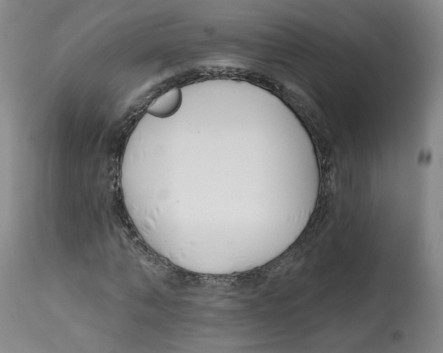 X0000112540870200909141310