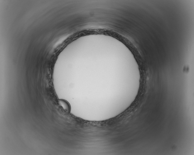 X0000112540871200909141310