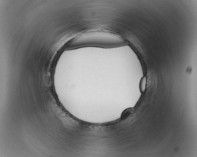 X0000112540876200909141309