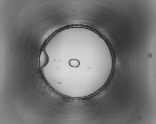 X0000112540877200909141309