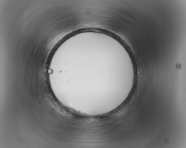 X0000112540879200909141309