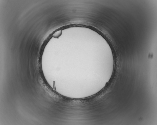 X0000112540880200909141309