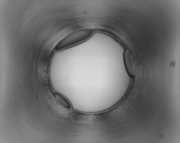 X0000112540881200909141309