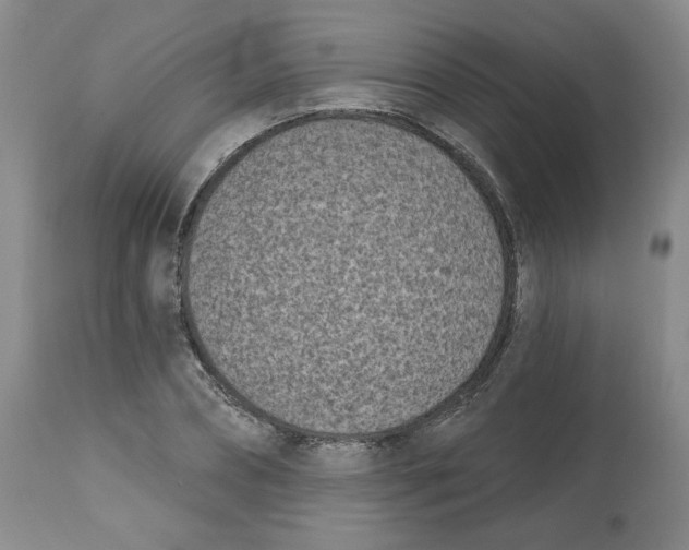 X0000112540882200909141309