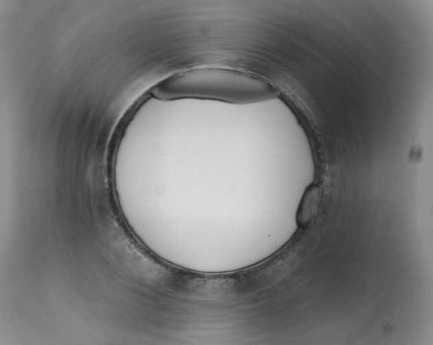 X0000112540884200909141309