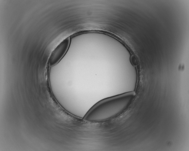 X0000112540885200909141309