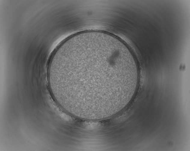 X0000112540886200909141309