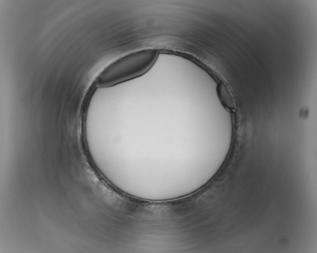 X0000112540888200909141309