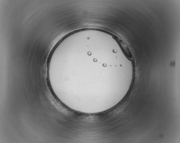 X0000112540891200909141309