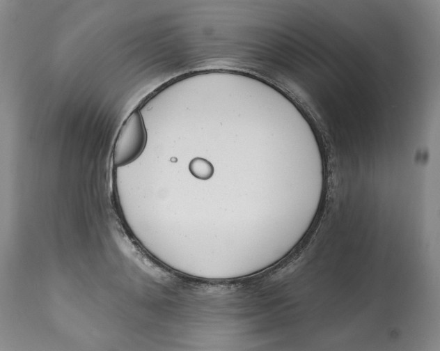 X0000112540892200909141309