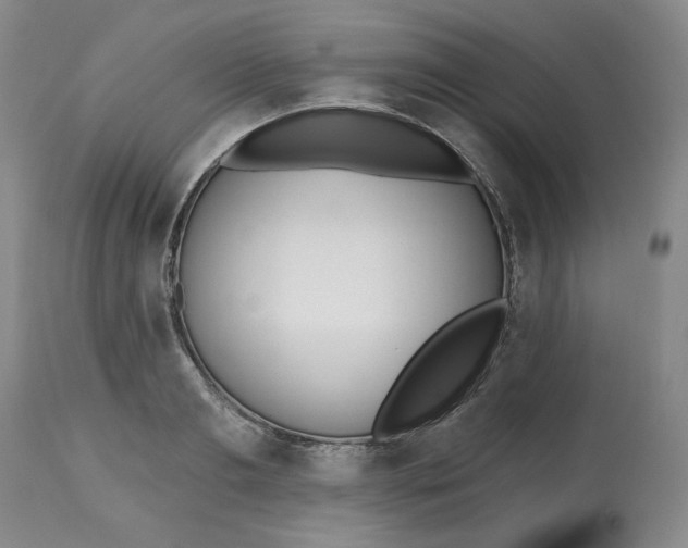 X0000112540893200909141309