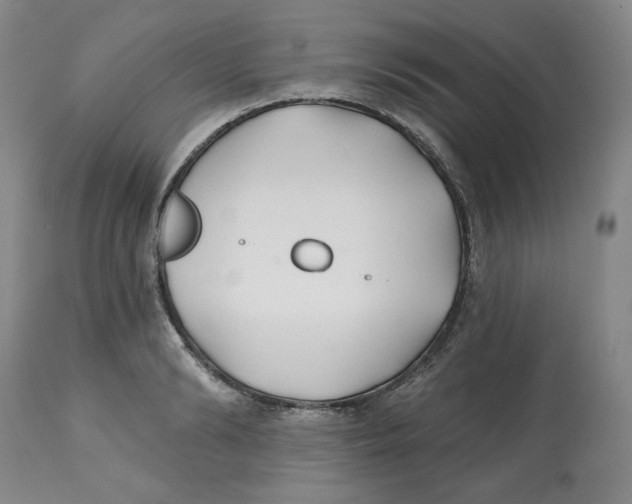 X0000112540894200909141309