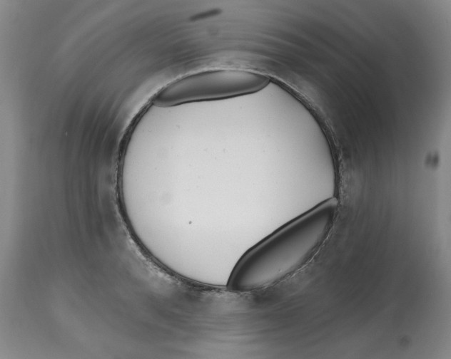 X0000112540896200909141309