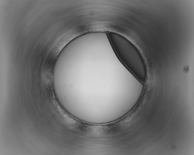X0000112540897200909141309