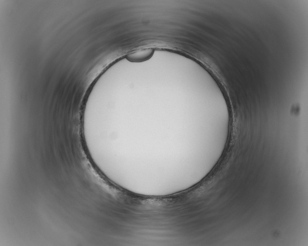 X0000112540898200909141309