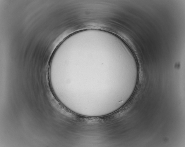 X0000112540899200909141309